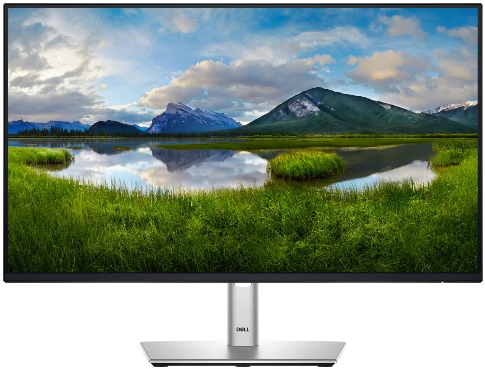 DELL Professional P2425HE (210-BMJB)