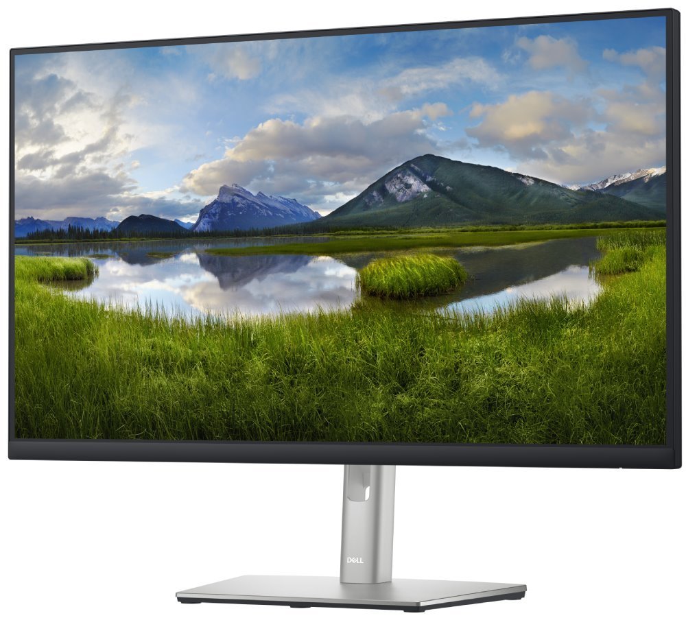 DELL Professional P2722H (210-AZYZ)