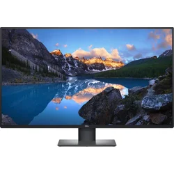 DELL UltraSharp U4320Q (210-AVCV)