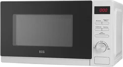 ECG MTD 2004 WA