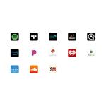 EDIFIER R1280T a WiiM Mini Smart Wi-Fi Audio Streamer