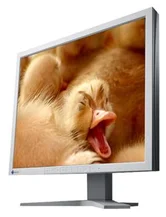 EIZO CG19 19˝ LCD 1280x1024/450:1/20MS/DVI/USB TCO03