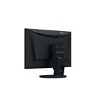 EIZO EV2480 Black 24"