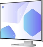 EIZO EV2485 White 24"