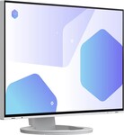 EIZO EV2485 White 24"