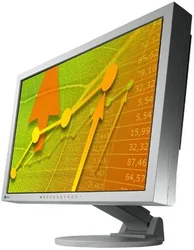 Eizo monitor FlexScan EcoView EV2411WE-GY Gray 24,1" LED LCD/1920x1200/1000:1/5MS/DVI, TN