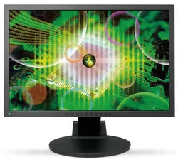 Eizo monitor S2231WE-BK Black 22" LCD/1680x1050/1500:1/8MS/DVI/USB
