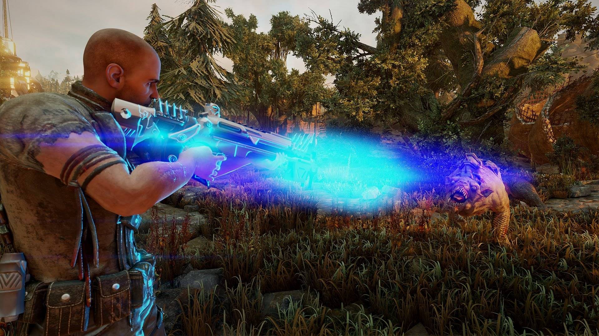 Elex elektronická licence