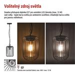EMOS Zahradní závěsné svítidlo SALVIA 1554001000