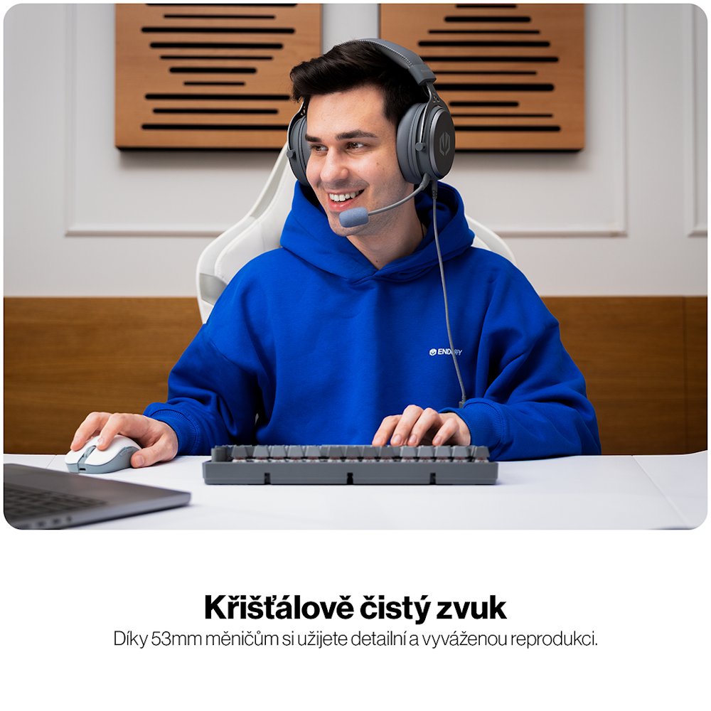 Endorfy VIRO Plus USB Alt Grey