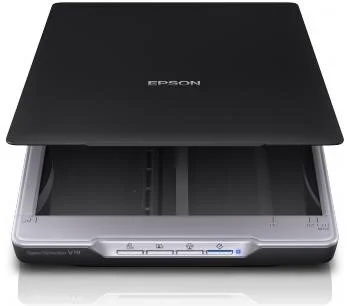 Epson Perfection V19