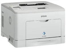 Epson WorkForce AL-M300DN