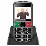 EVOLVEO EasyPhone EB strieborný