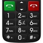 EVOLVEO EasyPhone FL černý