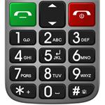 EVOLVEO EasyPhone FL strieborný