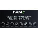 EVOLVEO G1000, zdroj 1000W, 80+ GOLD, ATX 3.1, PCIe 5.1, Modulární