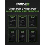 EVOLVEO G1000, zdroj 1000W, 80+ GOLD, ATX 3.1, PCIe 5.1, Modulární
