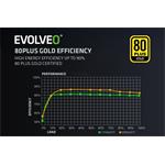 EVOLVEO G850, zdroj 850W, 80+ GOLD, ATX 3.1, PCIe 5.1, Modulární