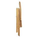 Fieldmann CARMEN II.-T