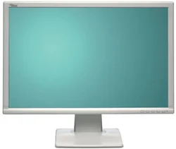 FSC 22" E22W-1SD LCD 1680x1050 800:1 5ms 300cd repro DVI