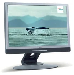 FSC 24" LCD P24-1W, 1920x1200, 6ms, 1000:1, 500cd, repro, DVI