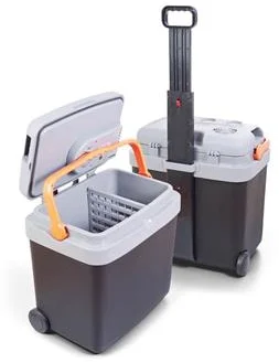 G21 C&W 33 litrov