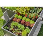 Gardena 13455-20 MDS Startovní Set pro záhon 35 rostlin