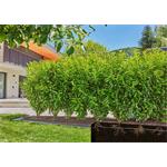 Gardena 13501-20 MDS štartovacia súprava na živé ploty/kríky 50 m