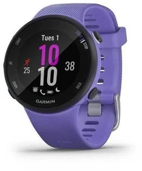 Garmin Forerunner 45S Optic Berry