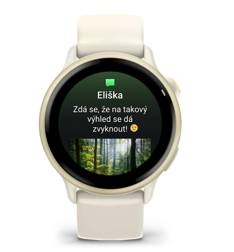 Garmin vivoactive 6 Lunar Gold / řemínek Bone