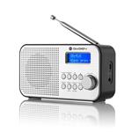GoGEN DAB 300 N, strieborný GOGDAB300N