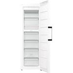 Gorenje FN619EAW6