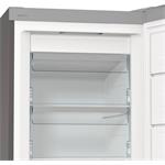 Gorenje FN619EAXL6