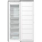 Gorenje FN619FES5