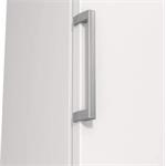 Gorenje FN619FEW5