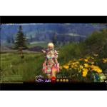Guild Wars 2 Heroic Edition