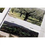 Hama album memo PATRI 10x15/200, etikety