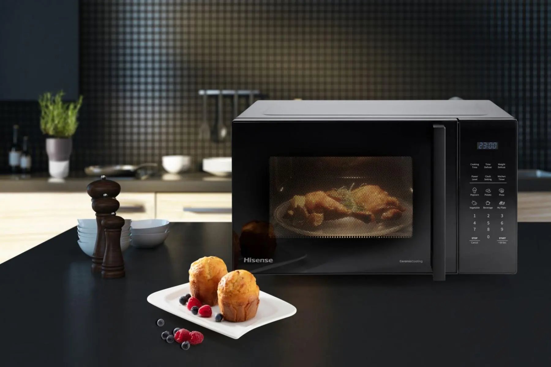 HISENSE H23MOBS5H