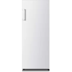 HISENSE RL313D4AW1