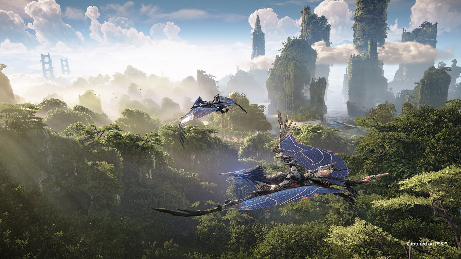 Horizon Forbidden West (PS5)