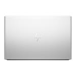 HP EliteBook 655 G10 (817W7EA)