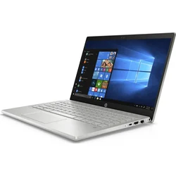 HP Pavilion 14-ce2009nc (6WN19EA)