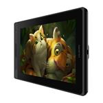 Huion Kamvas Pro 13 GT133