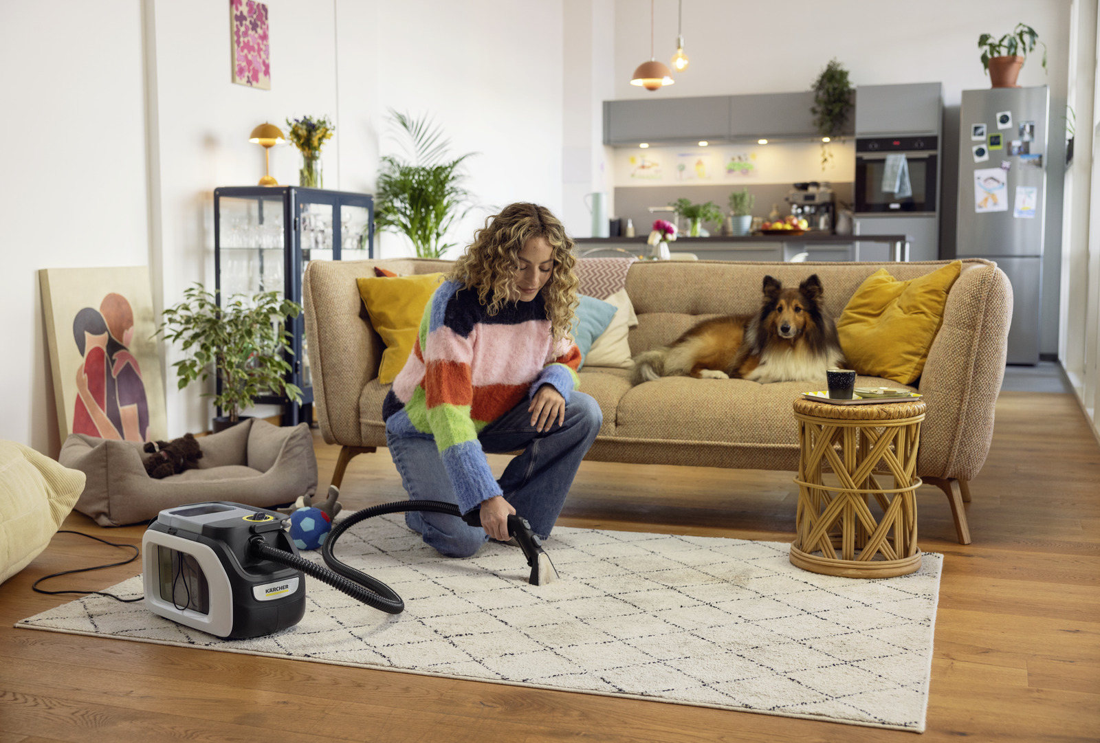 Kärcher Wiper SE 3 Compact Home