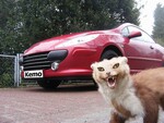 Kemo M100N – odpudzovač kun