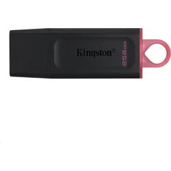 Kingston DataTraveler DT Exodia 256GB (DTX/256GB) - USB Flash disky