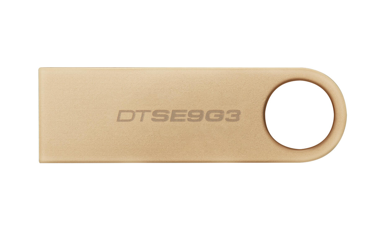 Kingston DataTraveler SE9 G3 256 GB