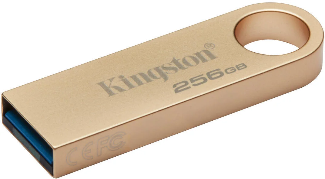 Kingston DataTraveler SE9 G3 256 GB