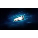 Kingston NV3 SSD 1TB NVMe