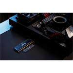 Kingston SSD Fury Renegade 500GB NVMe